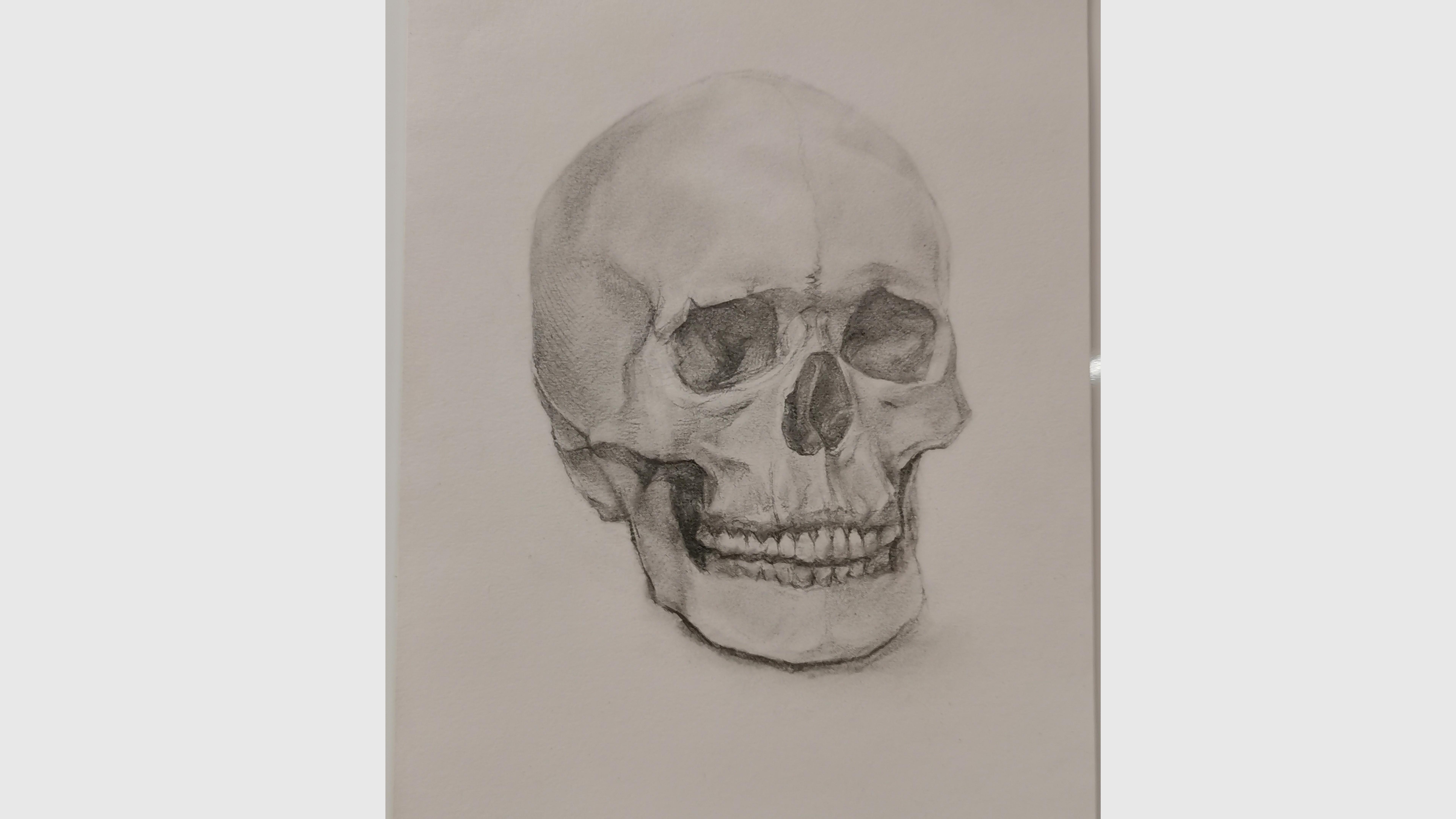 素描写生作品