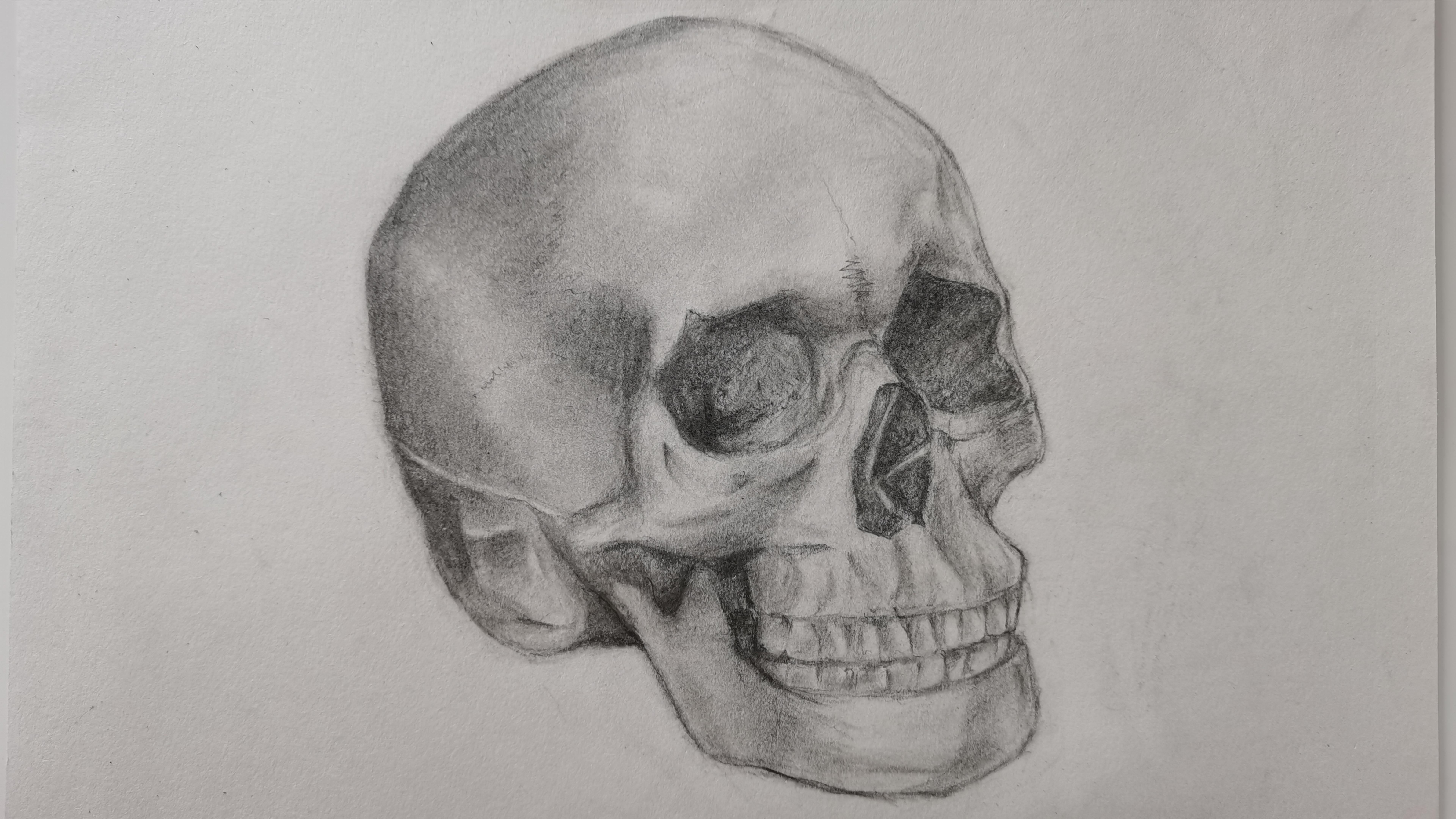 素描写生作品