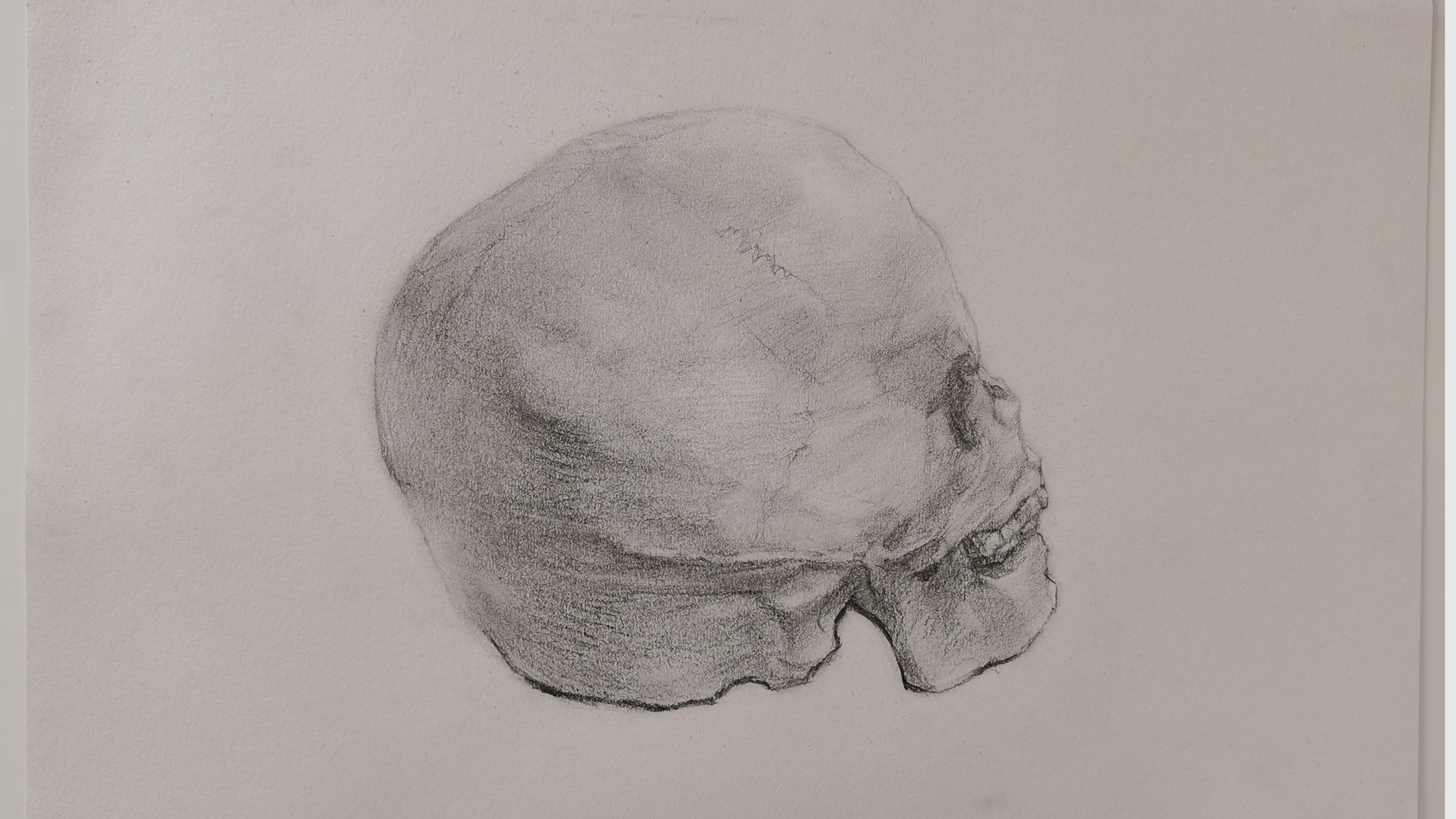 素描写生作品
